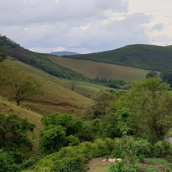 Café Caseiro Arábica Nhá Chica